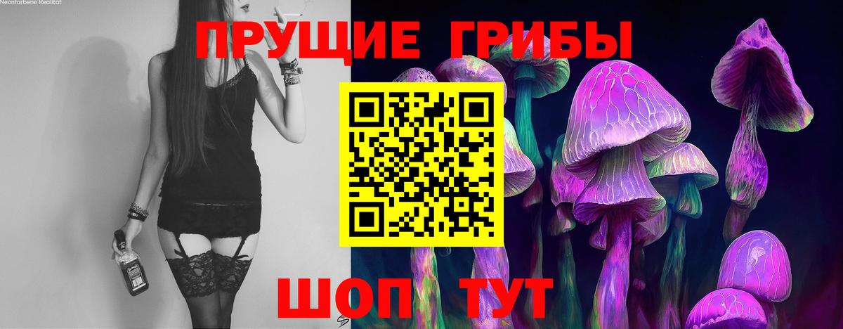 что такое   Галлюциногенные грибы GOLDEN TEACHER  Вход с VPN  Владимир 